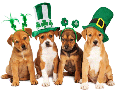 st. patrick's day doggies